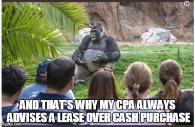 GORILLA MEME.jpg
