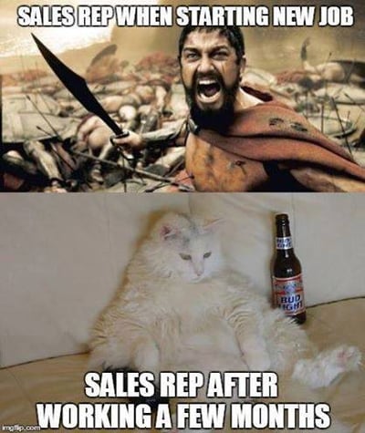 reality sales meme